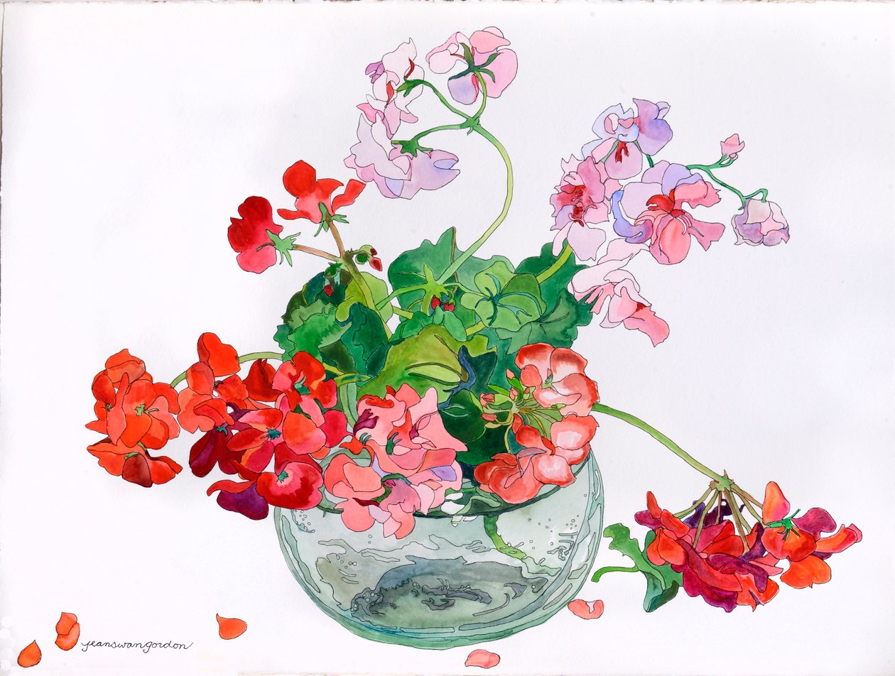 Geraniums at Ease in Glass Bowl (akvarelli ja muste paperille) tekijältä Jean Swan Gordon