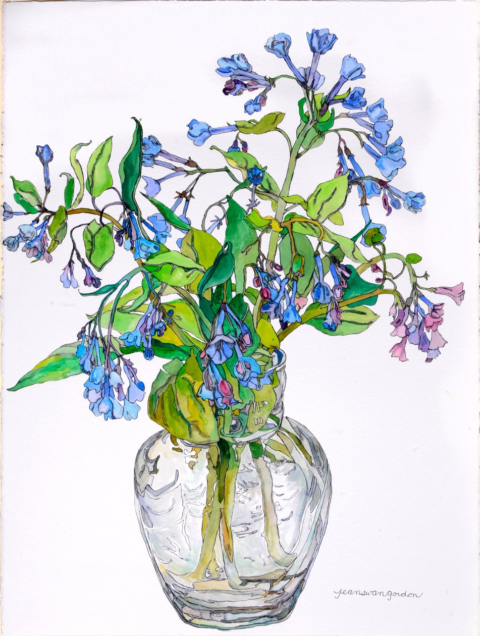 Virginia Blue Bells in Narrow Necked Vase, 2006 (vesiväri ja muste paperille). tekijältä Jean Swan Gordon