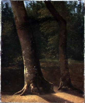 Study of Trees, n. 1815 (öljy paperille) tekijältä Jean Victor (attr. to) Bertin