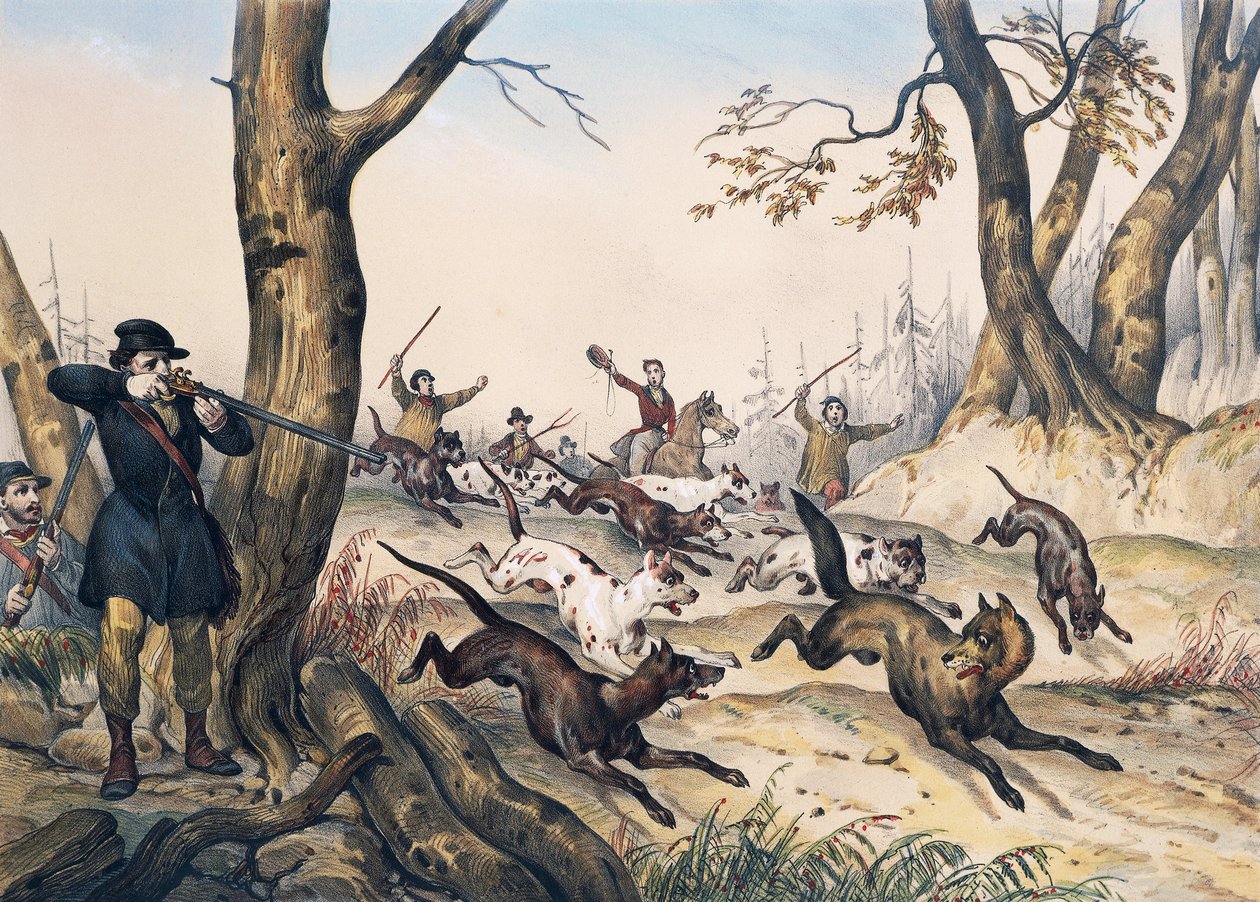 Susimetsästys, kaiverrus Jean Victor Adam (1801-1866) tekijältä Jean Victor Adam