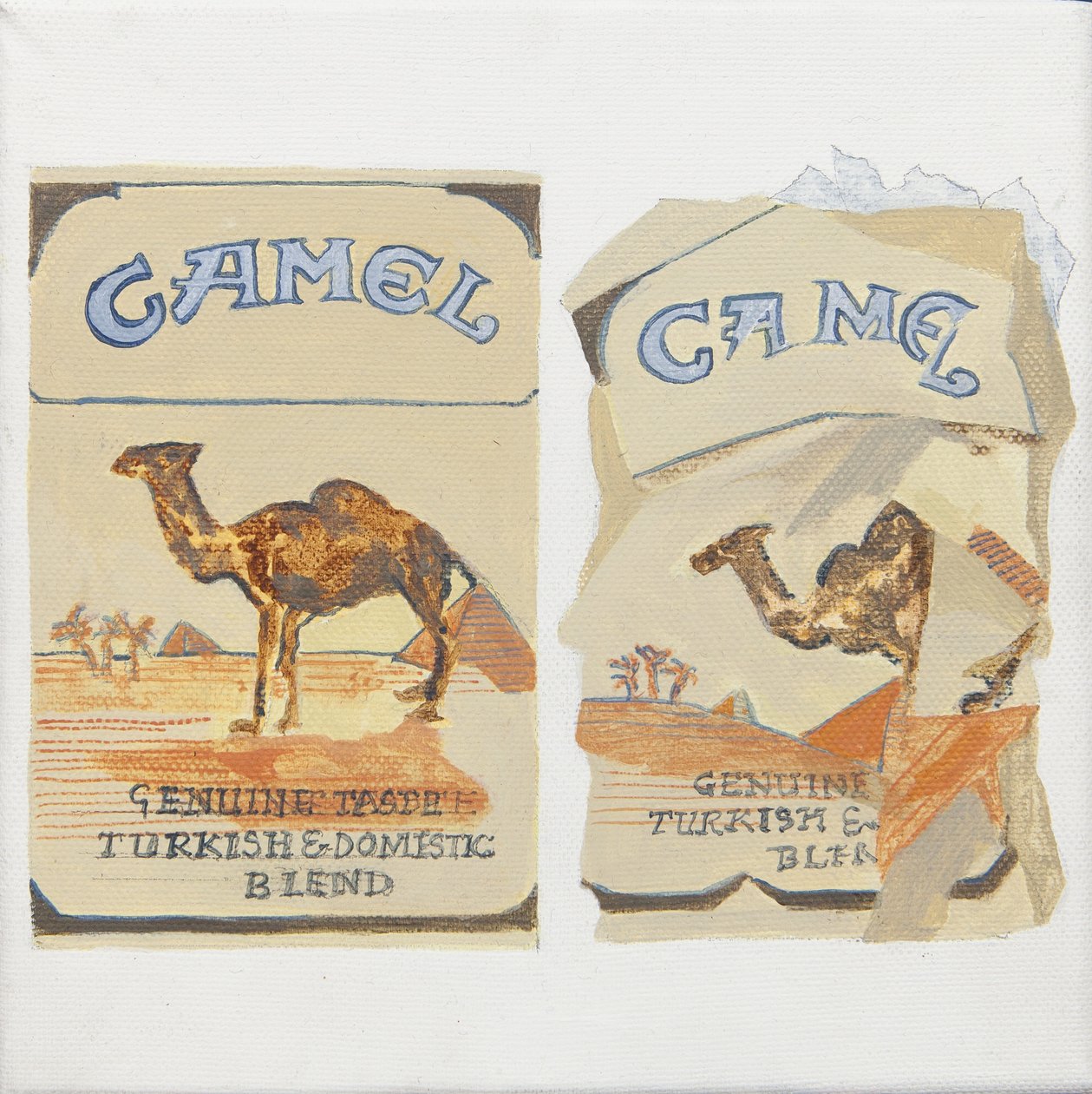 Camel-savukeaskit tekijältä Jennifer Abbott