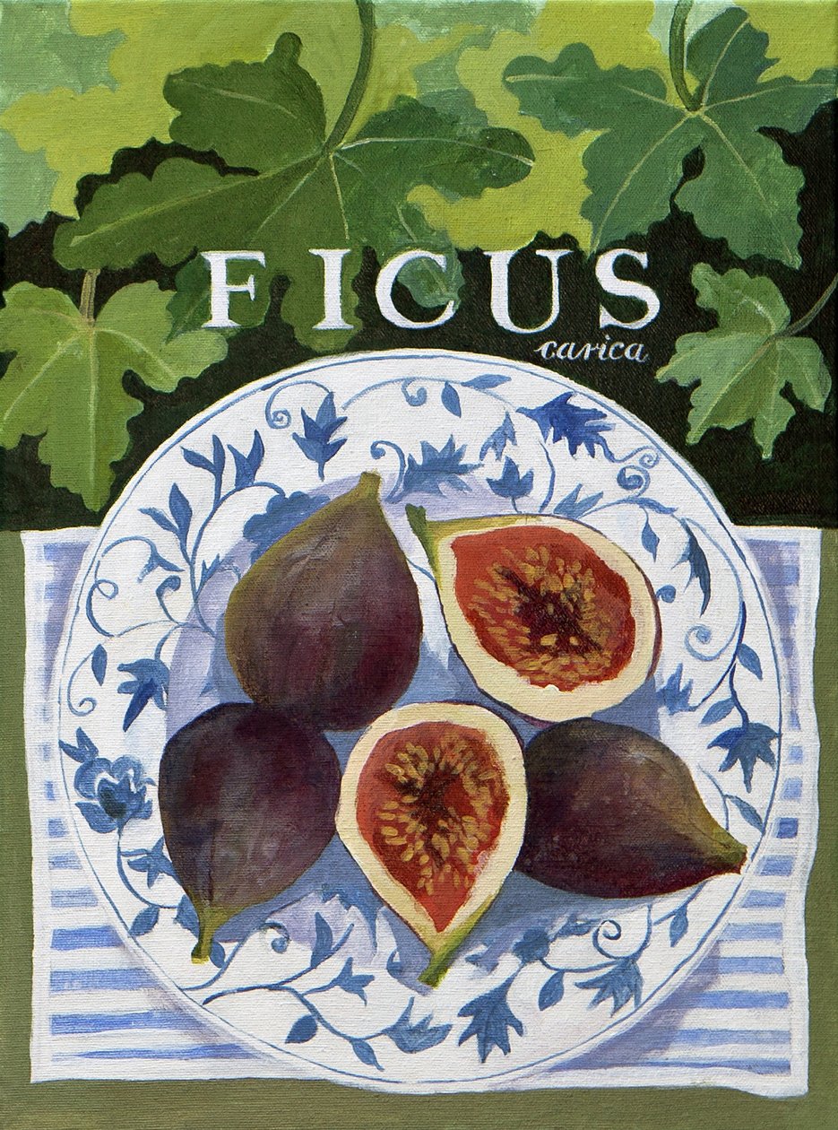 Fieus (figs), 2014 (akryyli kankaalle) tekijältä Jennifer Abbott