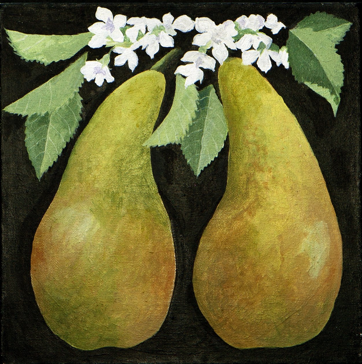 Päärynät, 2013 (akryyli kankaalle) tekijältä Jennifer Abbott