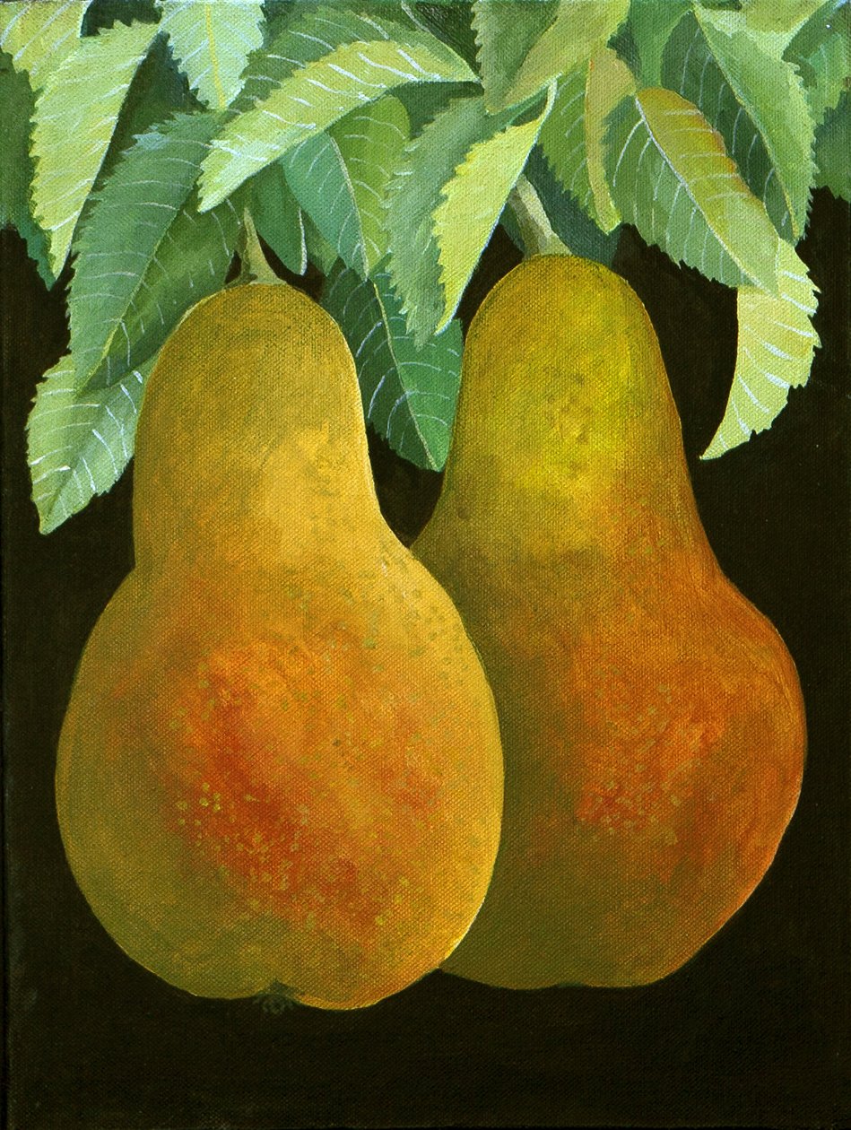 Päärynät, 2014 (akryyli kankaalle) tekijältä Jennifer Abbott