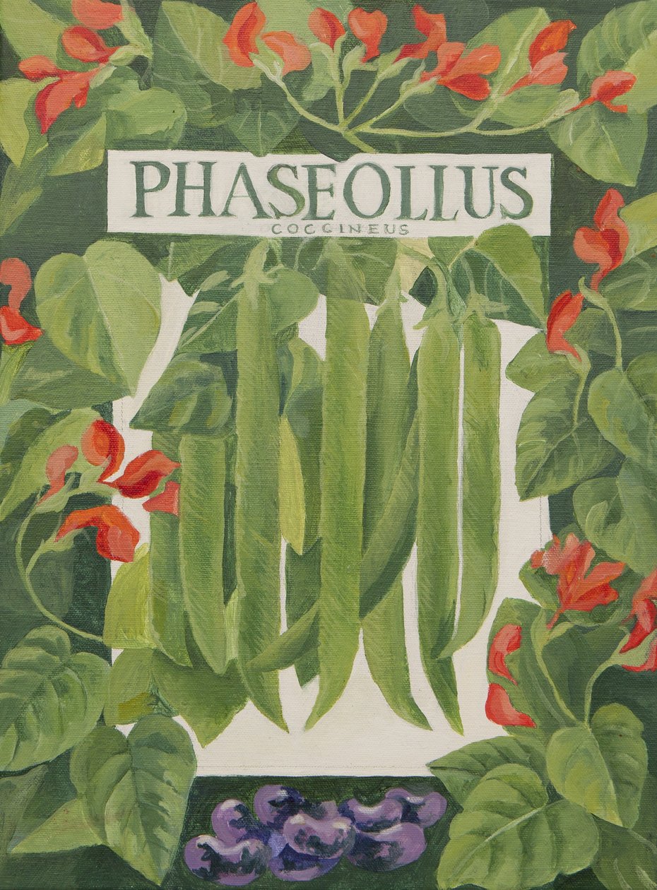Phaseollus (härkäpavut) (akryyli) tekijältä Jennifer Abbott