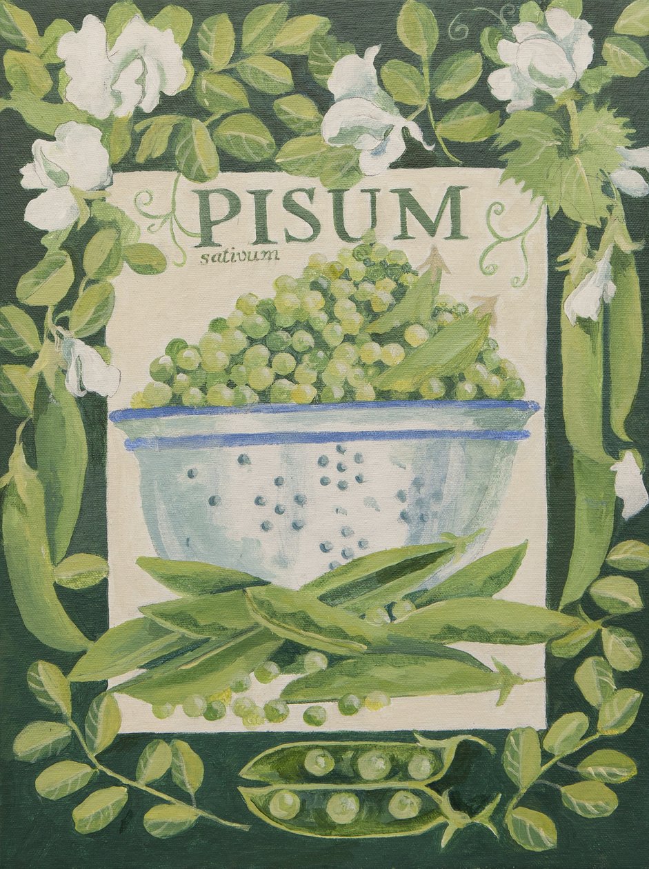 Pisum, Herneet (akryyli) tekijältä Jennifer Abbott