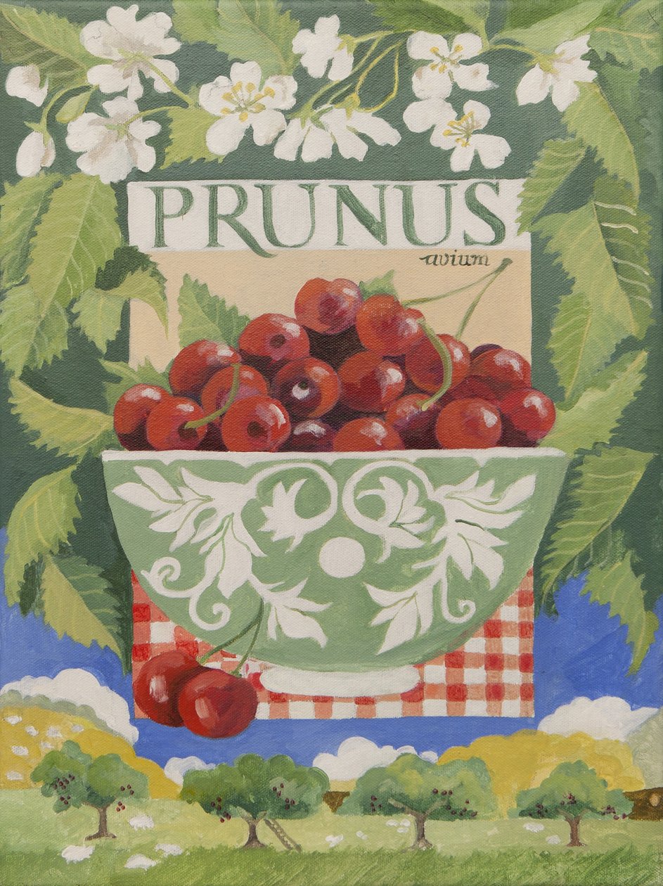 Prunus avium (akryyli) tekijältä Jennifer Abbott
