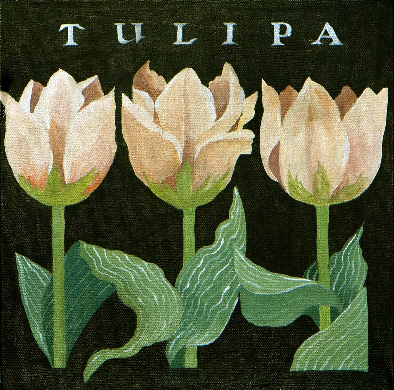 Tulppaanit, 2013 (akryyli kankaalle) tekijältä Jennifer Abbott