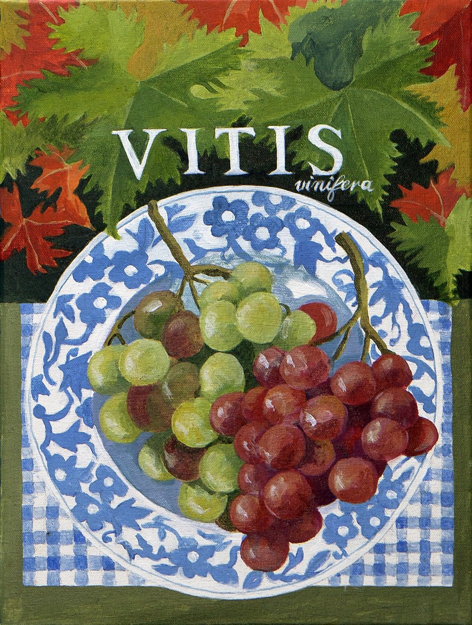 Vitus (viinirypäleet), 2014 (akryyli kankaalle) tekijältä Jennifer Abbott