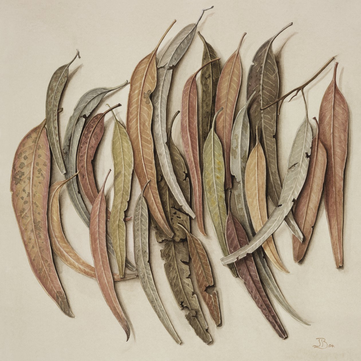 Eucalyptus Leaves, 2004 (wc paperilla) tekijältä Jenny Barron