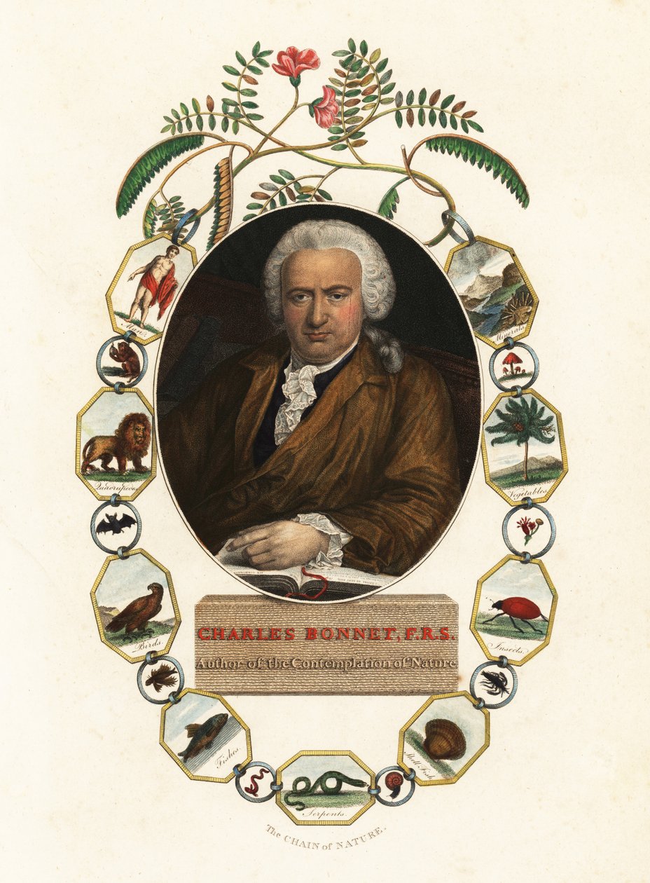 Geneven luonnontieteilijä Charles Bonnet