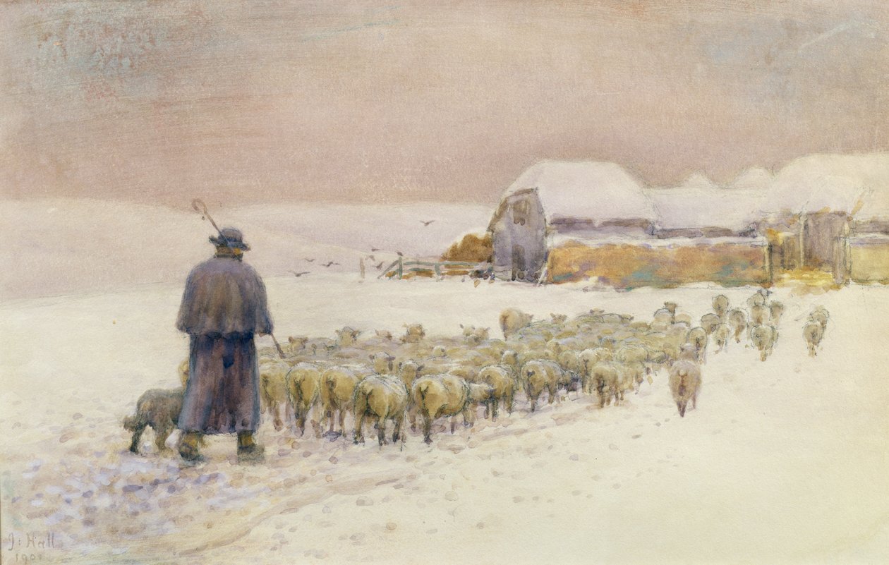 Bringing the Flock, 1901 tekijältä Jessie Hall