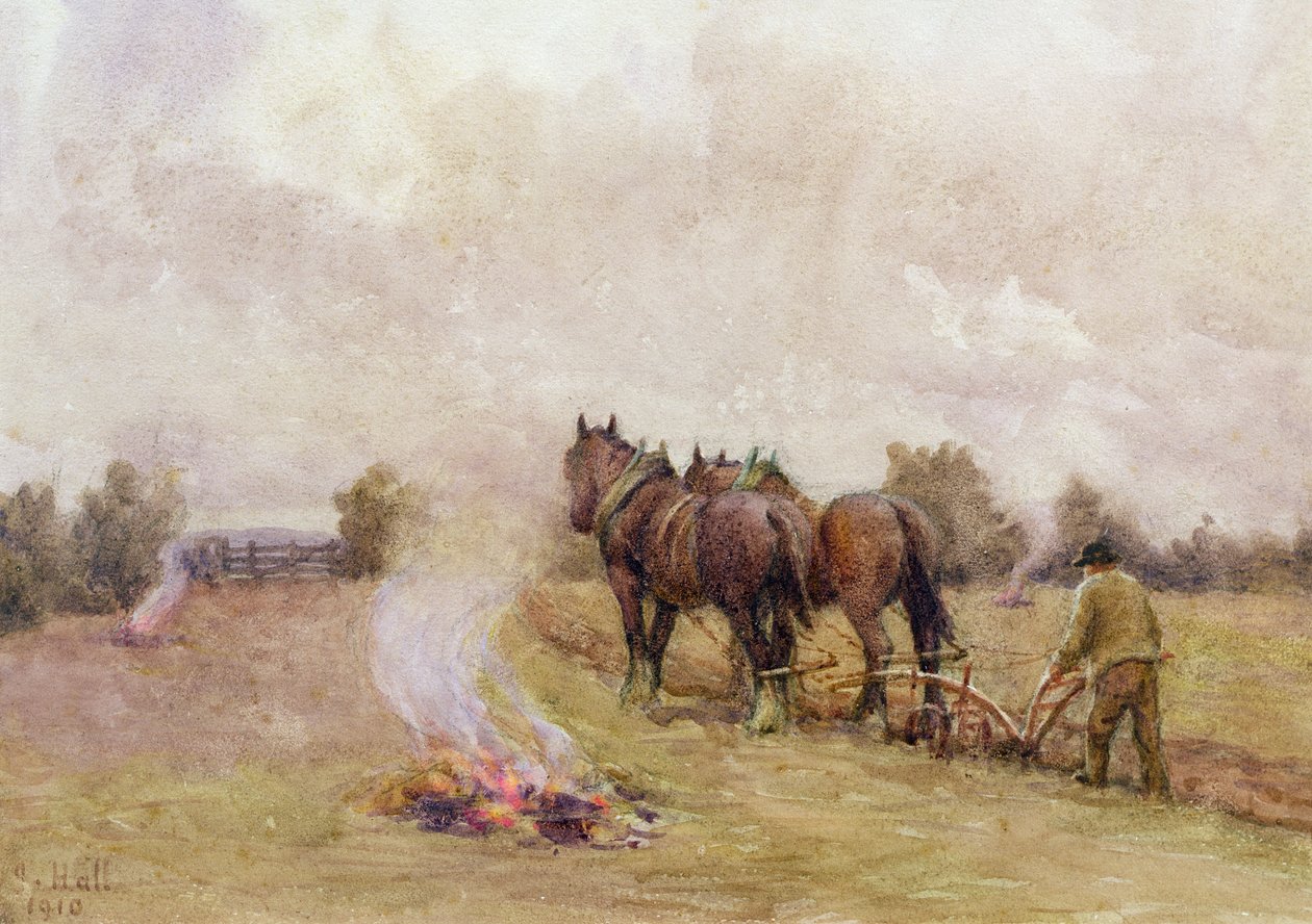 Kyntökohtaus tulipaloilla pellolla, 1910 tekijältä Jessie Hall