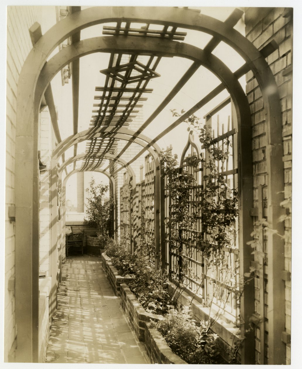 Rouva Regina Jaisin takapiha, n. 1936-37 (gelatiinihopeakuva) tekijältä Jessie Tarbox Beals