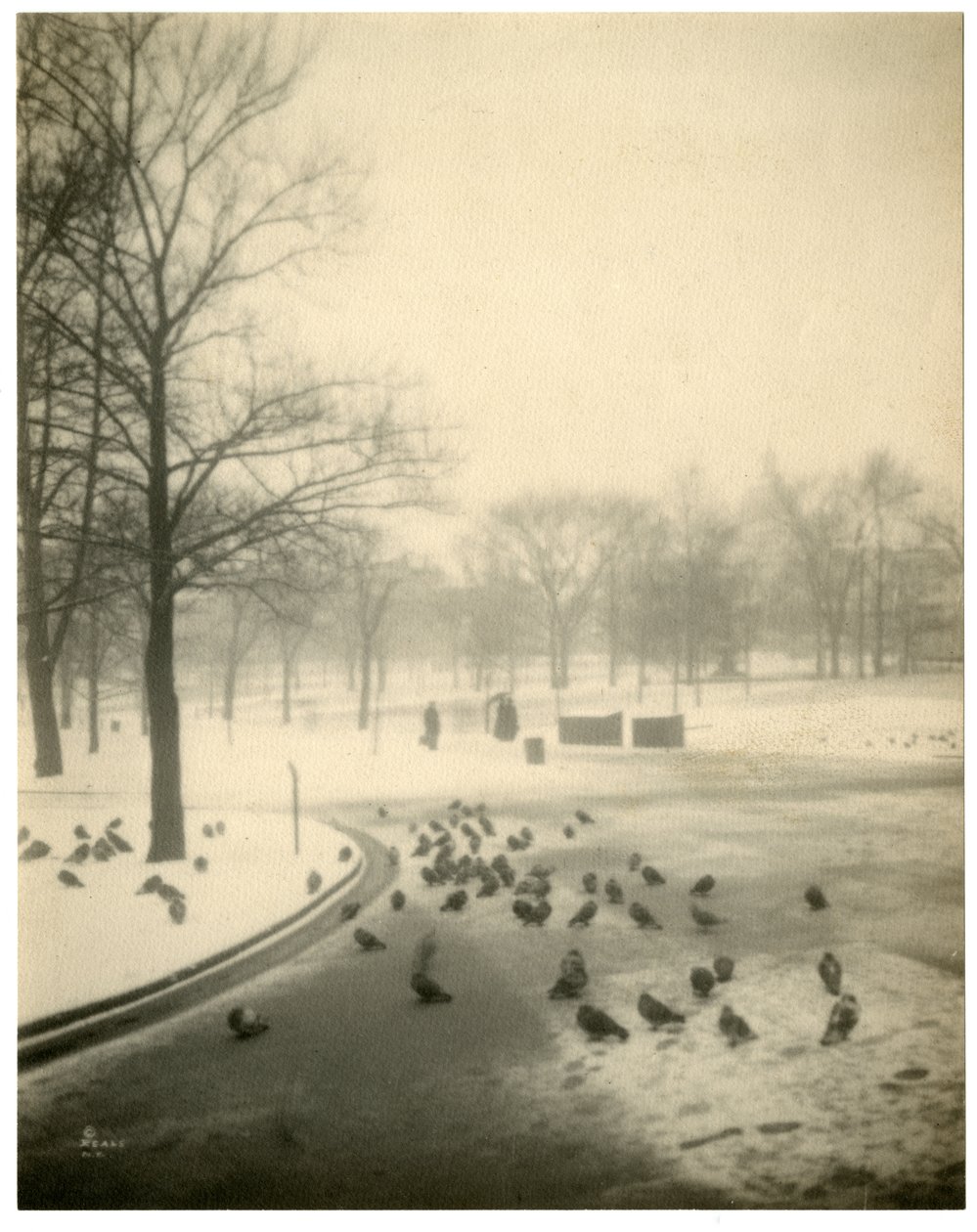 Boston Common, Boston, USA, n. 1902–1910 tekijältä Jessie Tarbox Beals