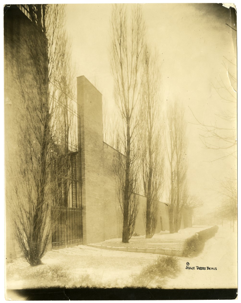 Boston, USA, n. 1902-1910 (gelatiinihopea valokuva) tekijältä Jessie Tarbox Beals