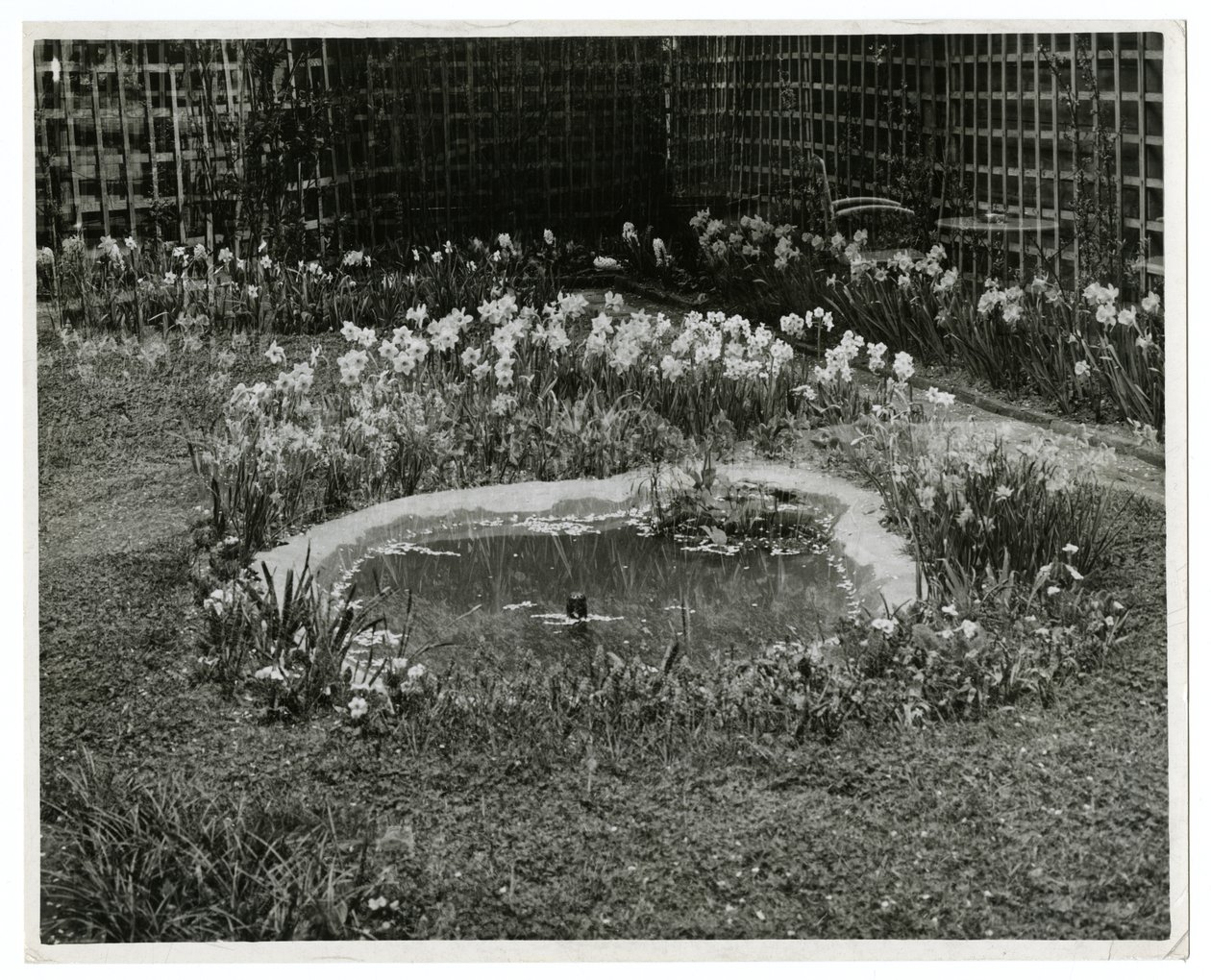 Garden of Mr & Mrs Wm H Wells 265 W 11th St, New York, USA tekijältä Jessie Tarbox Beals