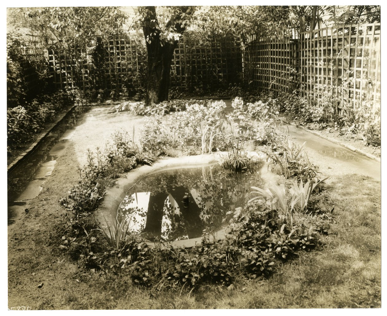 Garden of Mrs W H Wells 265 W 11th, Greenwich Village, New York, USA, n. 1936-37 (gelatiinihopea valokuva) tekijältä Jessie Tarbox Beals