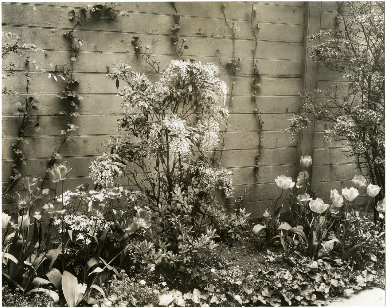 Herra ja rouva John Morgan, 39 W 11 St Center Andromeda, Greenwich Village, New York, USA, n. 1939-40 (gelatiinihopeakuva) tekijältä Jessie Tarbox Beals