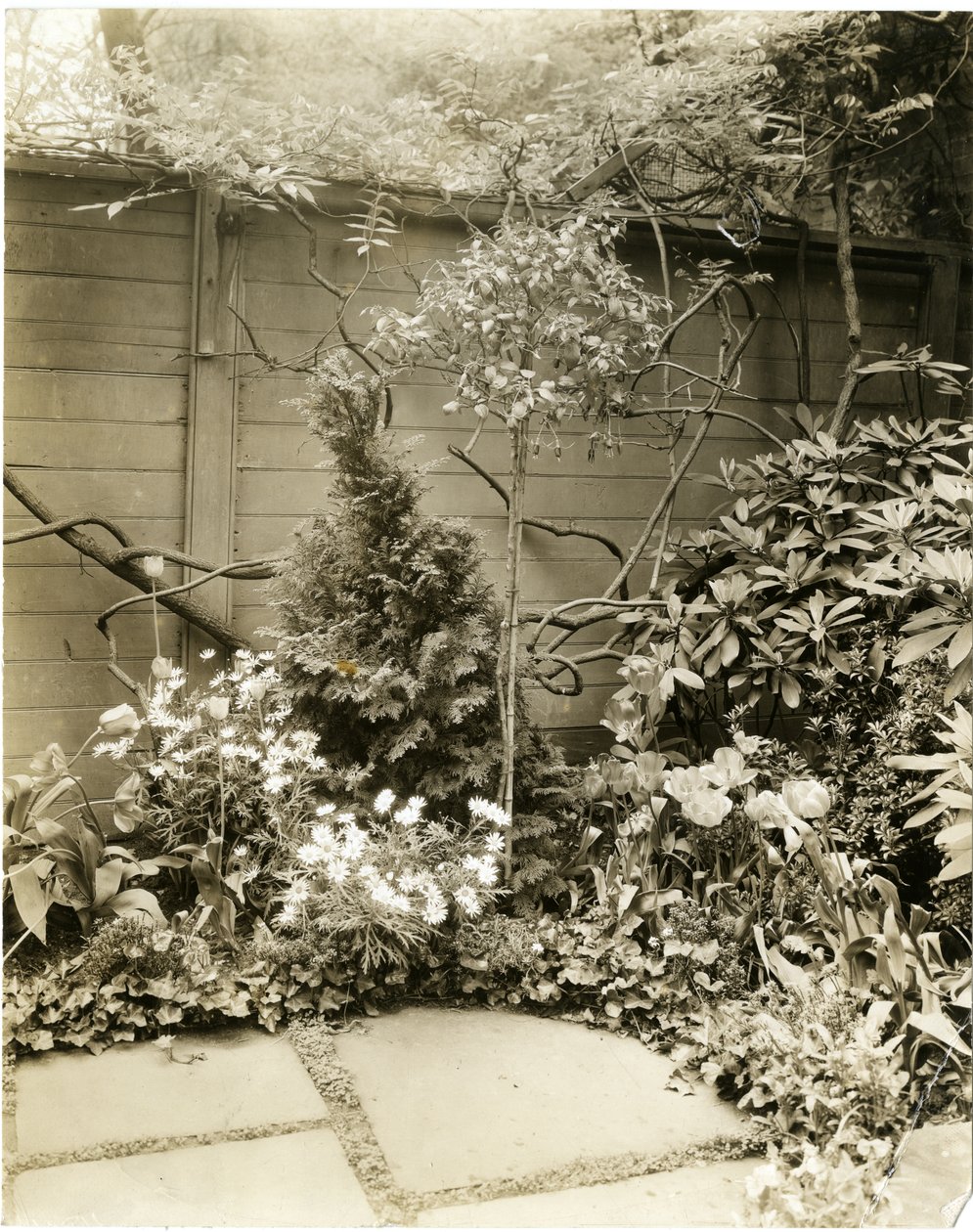 Herra ja rouva John Morgan, 39 W 11 St, Greenwich Village, New York, USA, n. 1939-40 (gelatiinihopeakuva) tekijältä Jessie Tarbox Beals