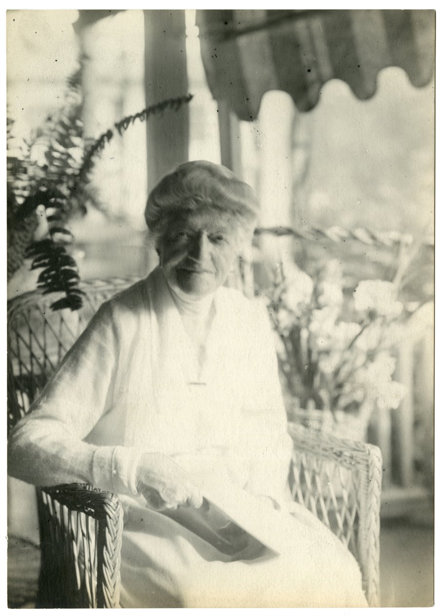 Rouva L D James Williamsburg Massachusettsista, Marshall Fieldin sisar, n. 1905-28 (gelatiinihopeakuva) tekijältä Jessie Tarbox Beals