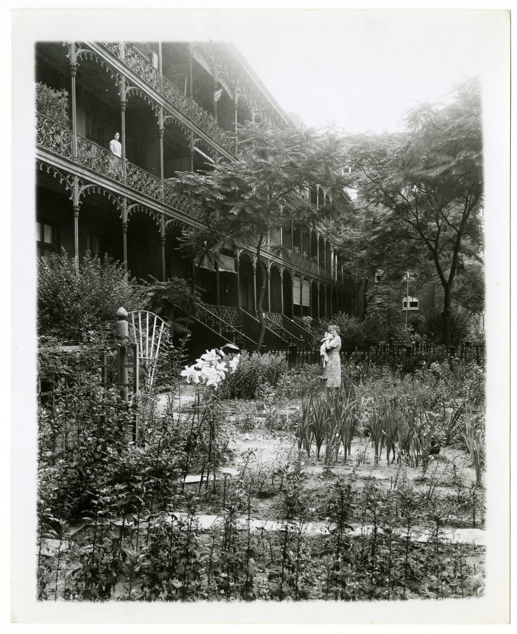 Rhinelander House Gardens, W 11th St, Greenwich Village, New York, USA, n. 1905-38 (gelatiinihopea valokuva) tekijältä Jessie Tarbox Beals