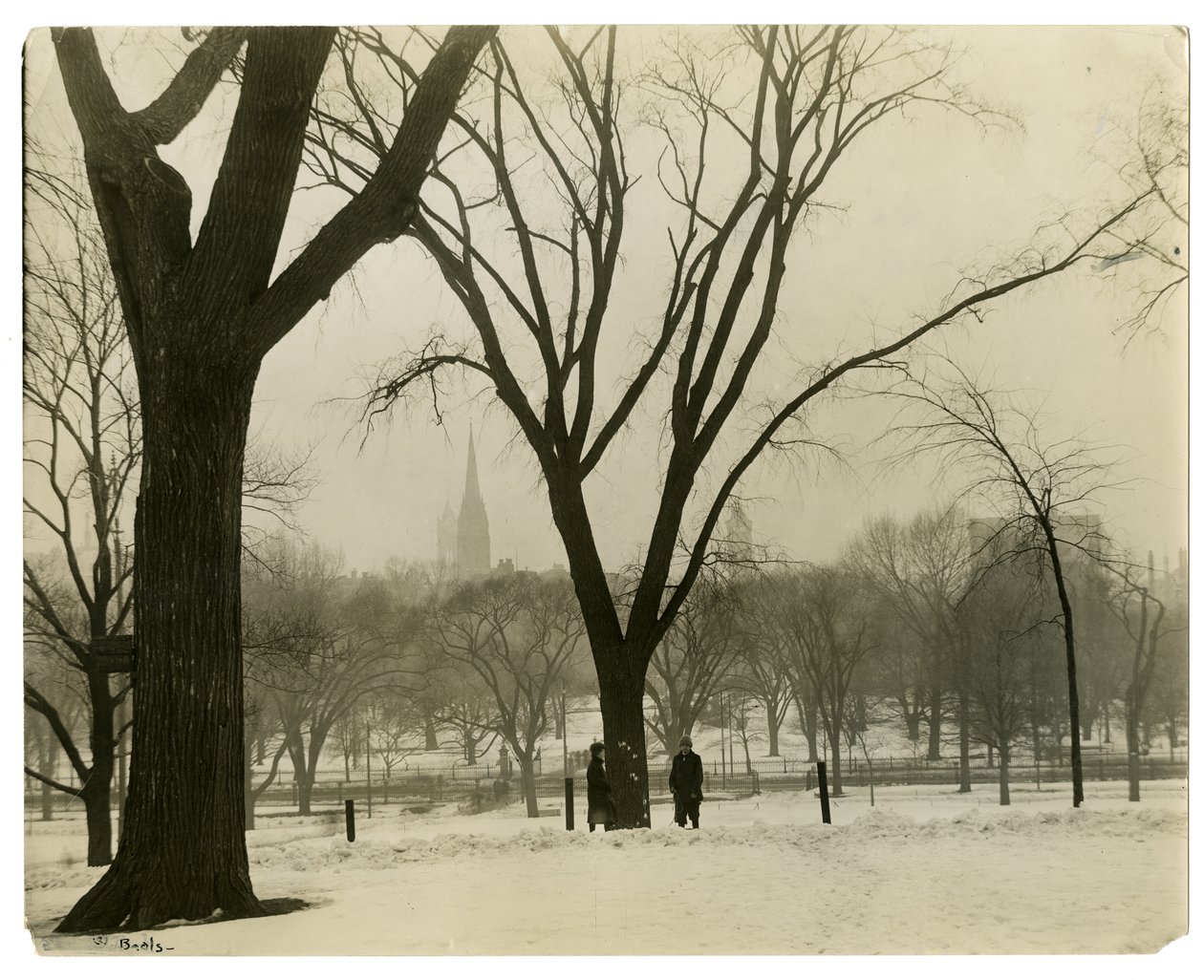 The Common, Boston, USA, n. 1902-1910 (gelatiinihopea valokuva) tekijältä Jessie Tarbox Beals