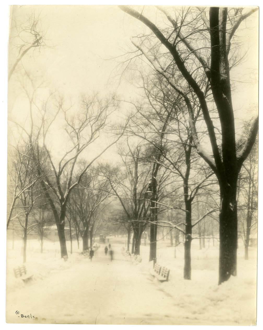 The Common, Boston, Yhdysvallat, n.1902-10 (gelatiinihopeakuva) tekijältä Jessie Tarbox Beals