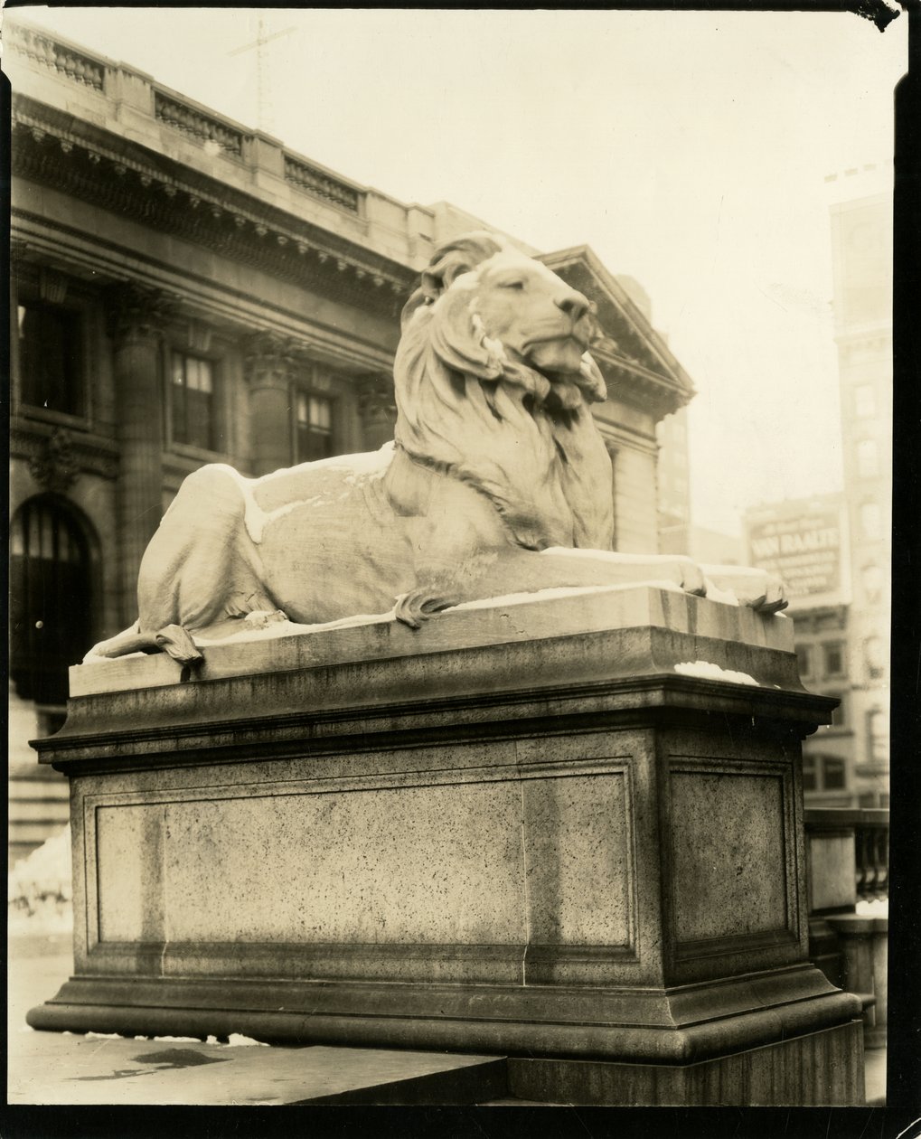 Ylpeä leijona kirjaston edessä Hän ymmärtää Gertrude Steinishiä, New York, USA, n. 1905-40 (gelatiinihopeakuva) tekijältä Jessie Tarbox Beals