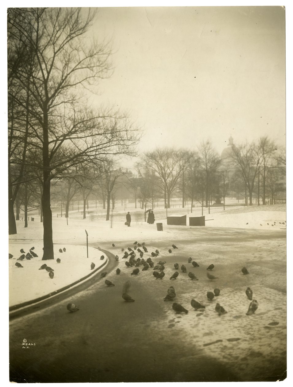 Harvinaisen kylmä Commonissa, Boston, USA, noin 1902-10 (gelatiinihopeakuva). tekijältä Jessie Tarbox Beals