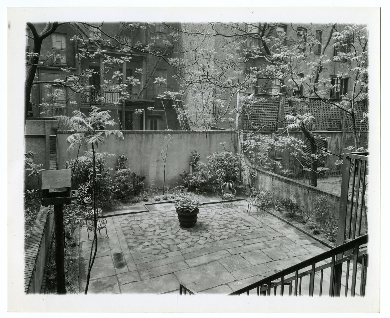 takapatio lintuhuoneella, New York, USA, n. 1905-40 (gelatiinihopea valokuva) tekijältä Jessie Tarbox Beals