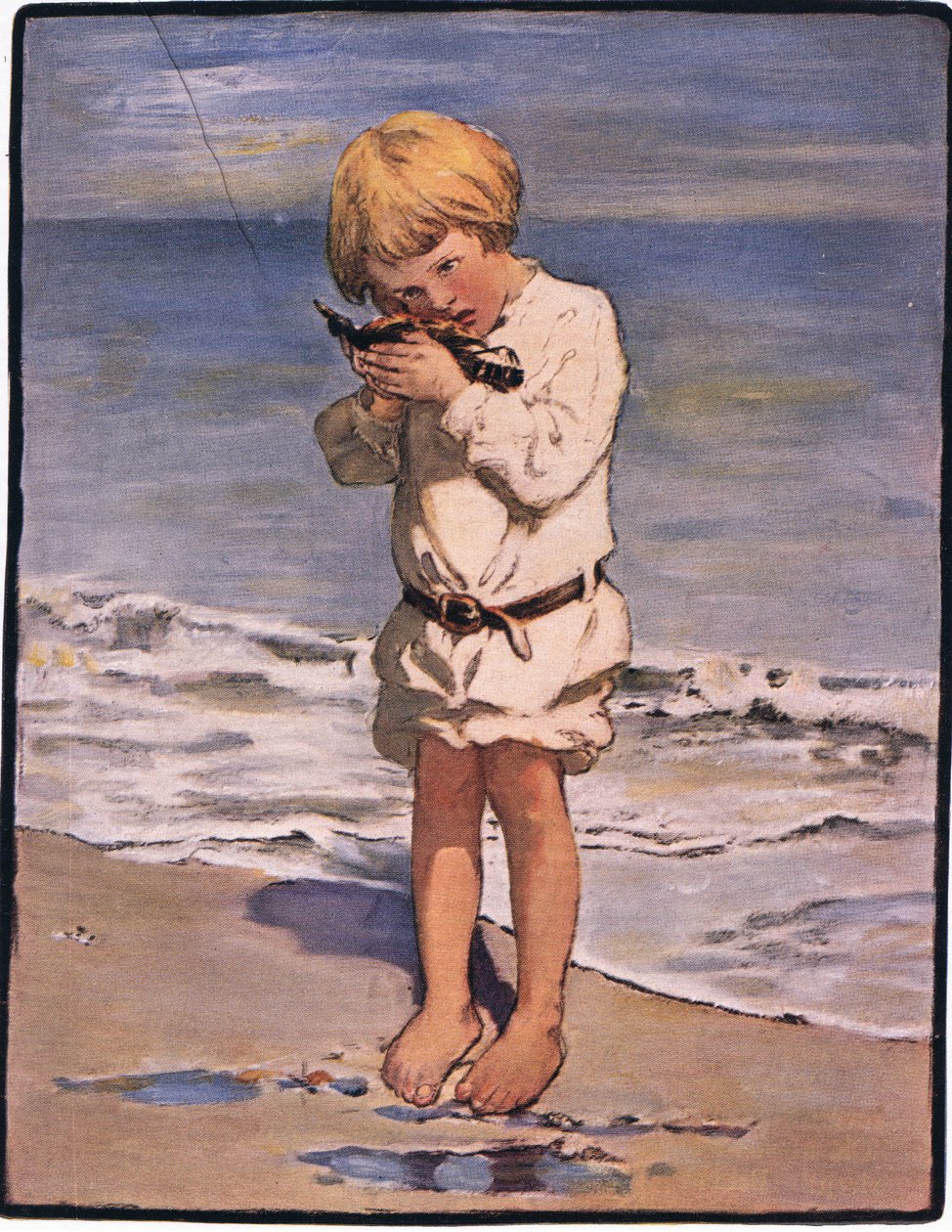Billy Boysin löytö oli lokki, jolla oli loukkaantunut siipi (väri litho) tekijältä Jessie Willcox Smith