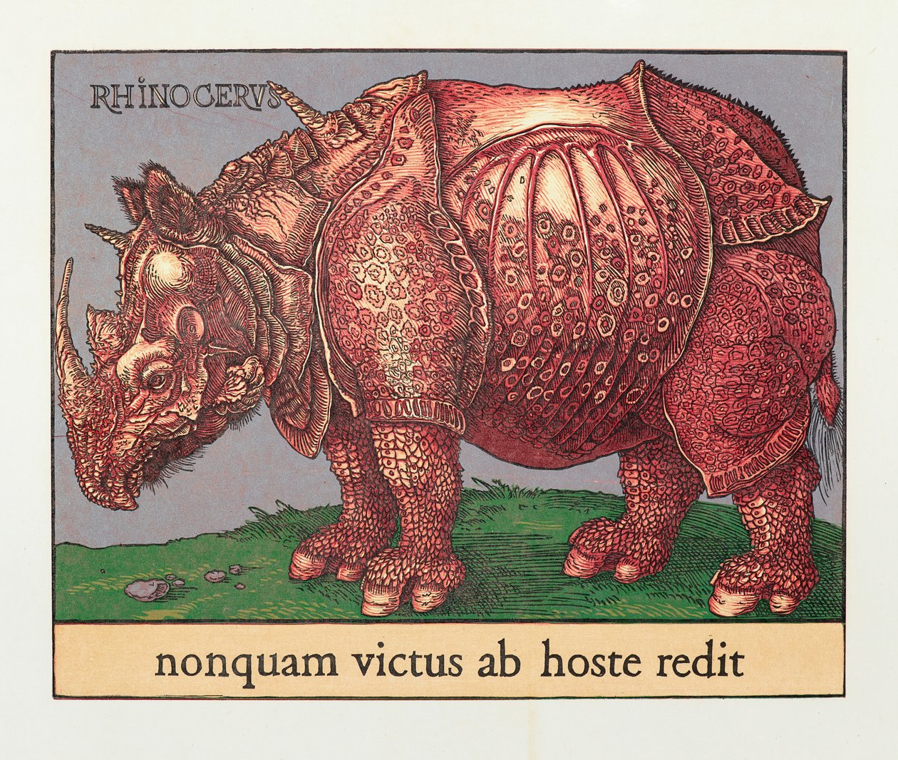 Red Rhino, 2007 (puupiirros) tekijältä Jim Monson