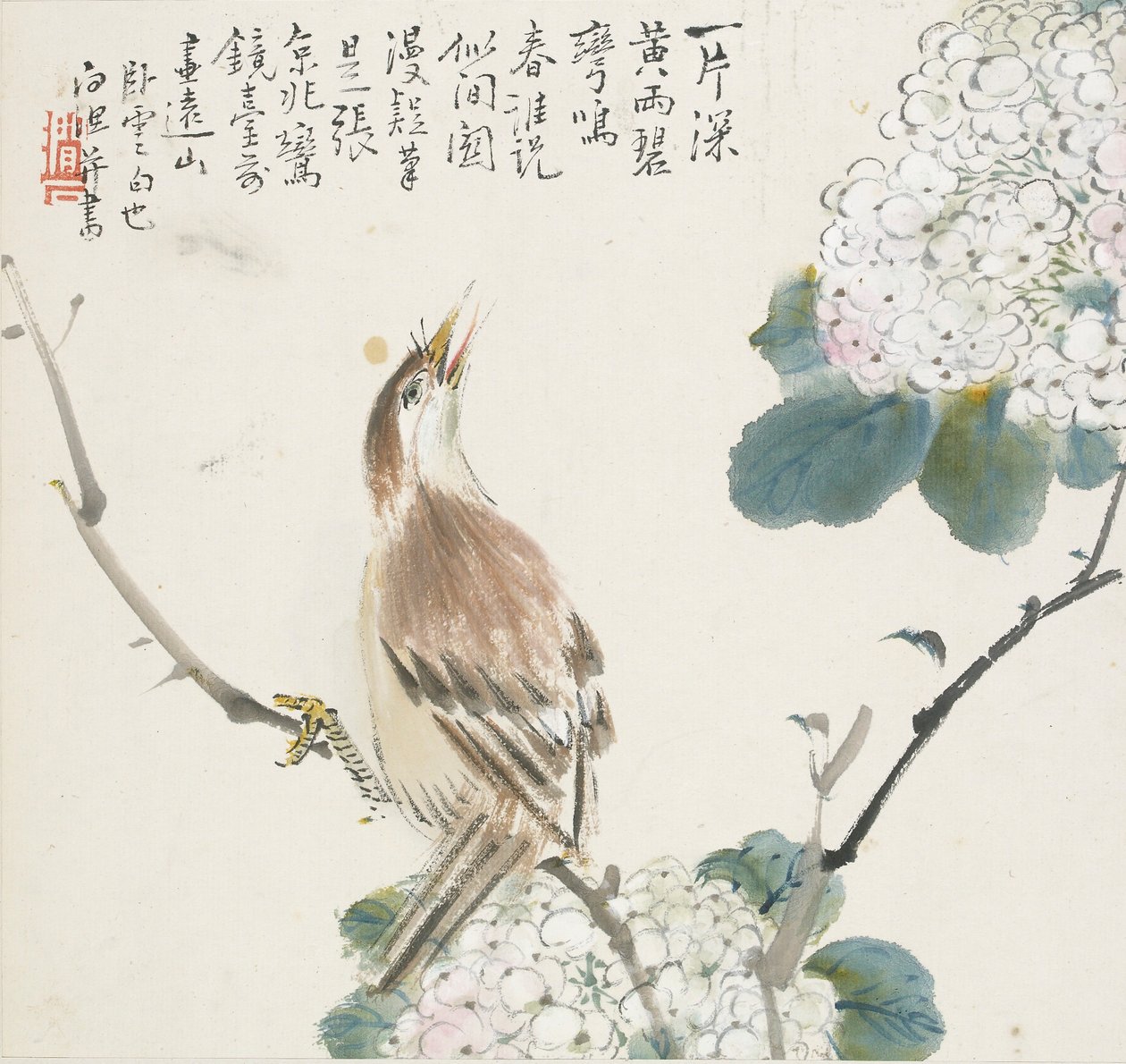 Kiinalainen hwamei, 1857 tekijältä Jin Yuan