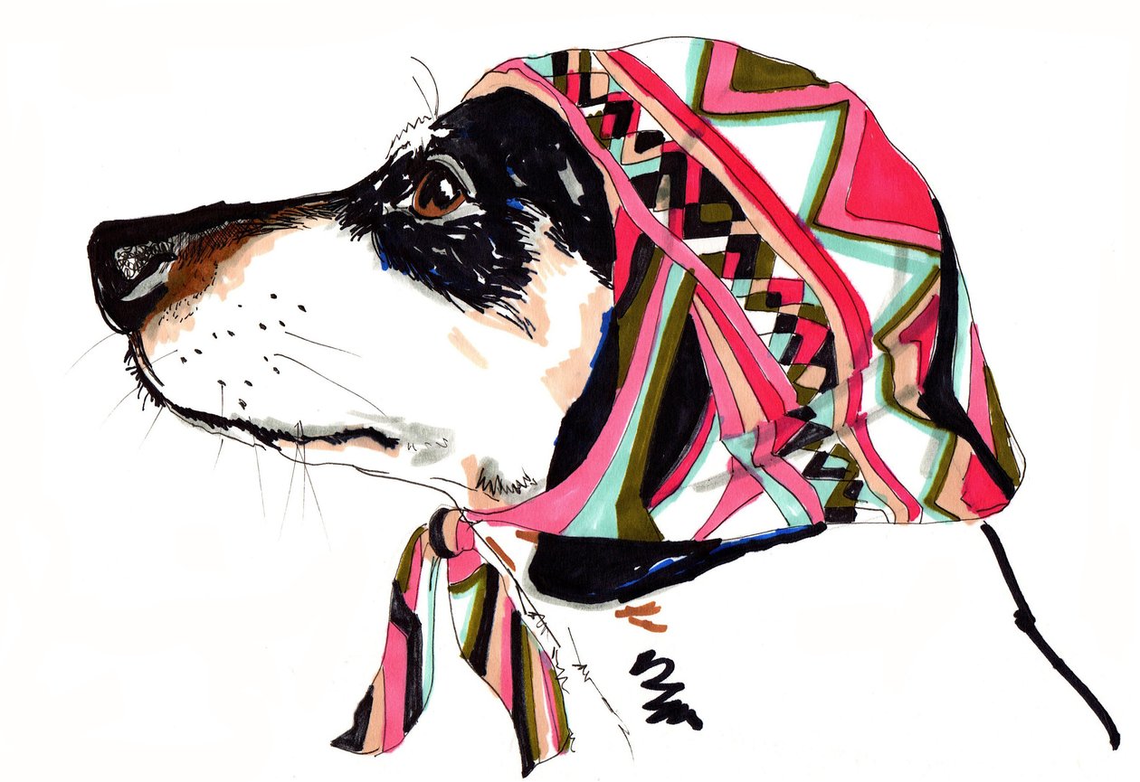 Pooch In Pucci, 2012 (kynä ja muste paperille) tekijältä Jo Chambers