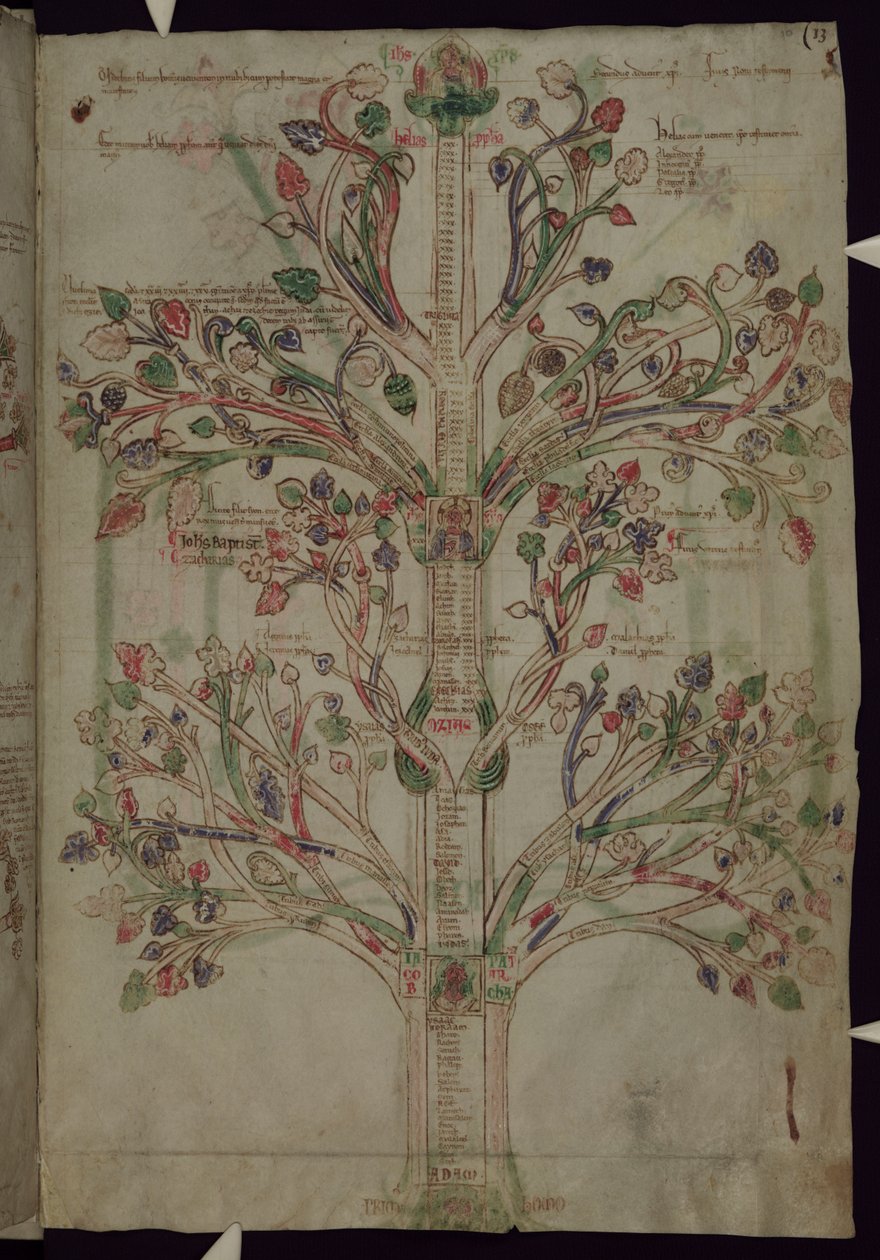 MS 255A fol.10r Elämän puu, Liber Figuarum -teoksesta. tekijältä Joachim of Fiore