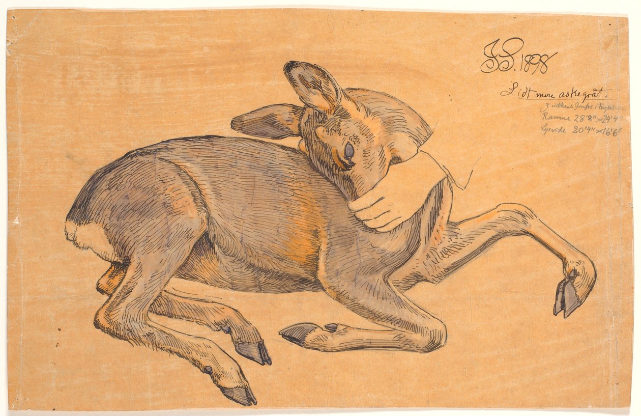 Makaavan takaosan tutkimus. Käsi tarttuu siihen kuonon ympärille tekijältä Joakim Frederik Skovgaard