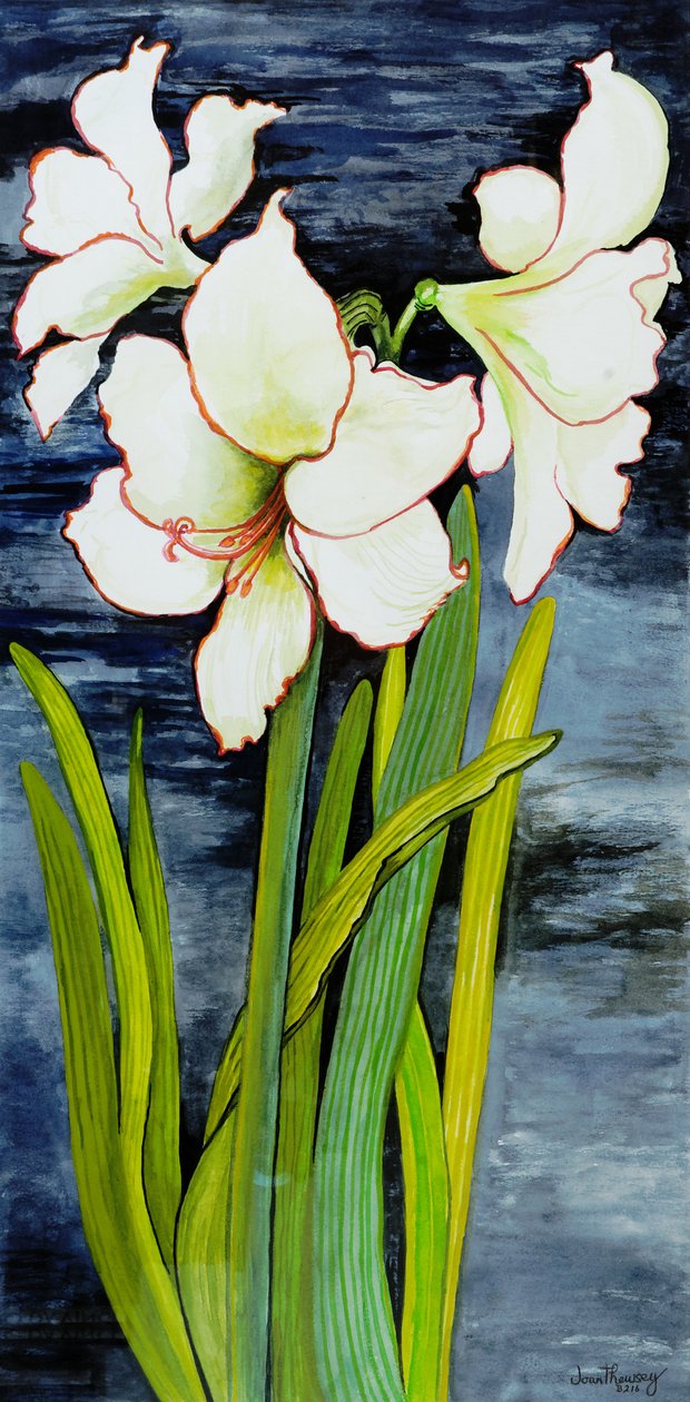 Amaryllis yötaivasta vasten tekijältä Joan Thewsey