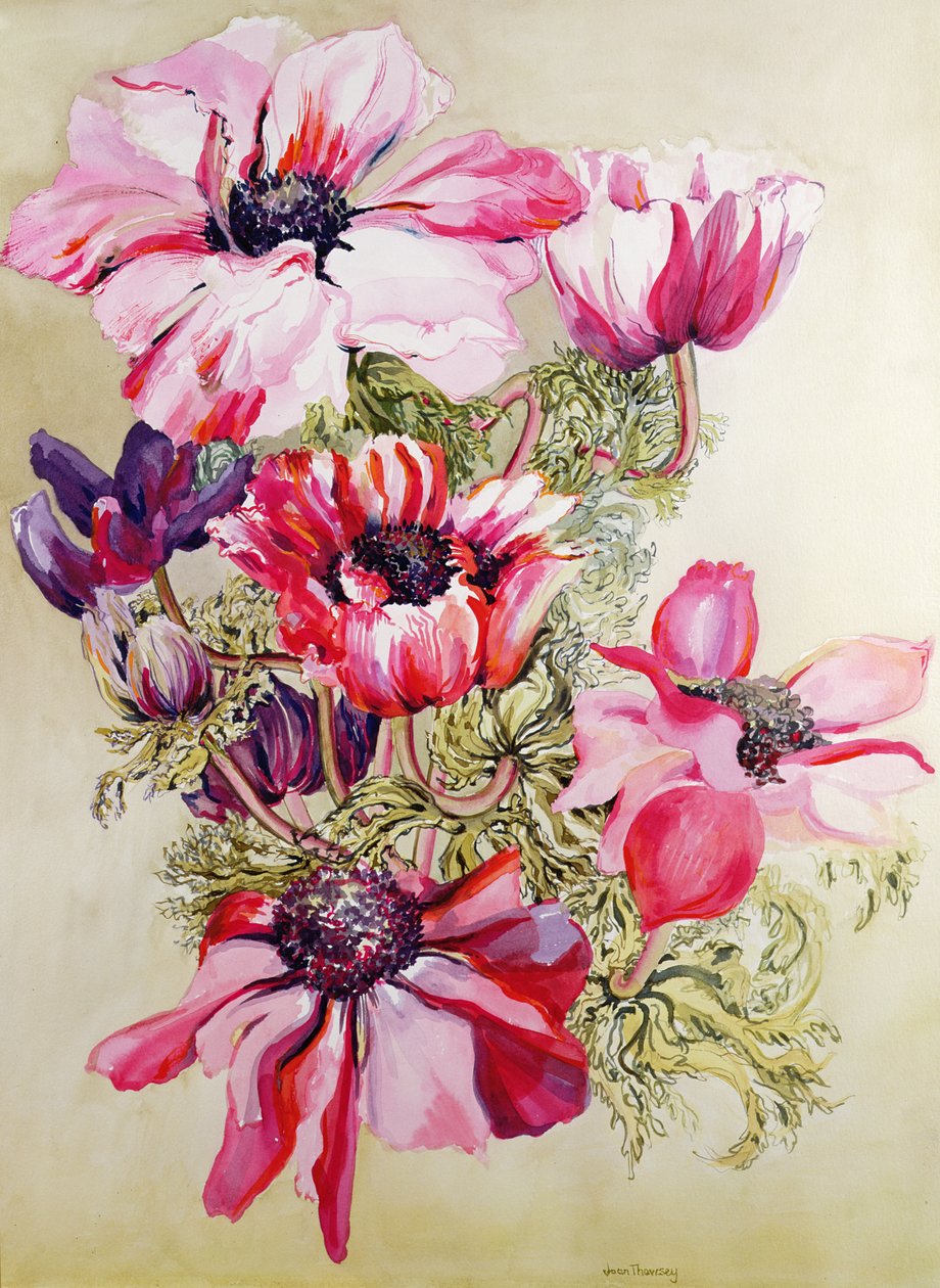 Anemones tekijältä Joan Thewsey