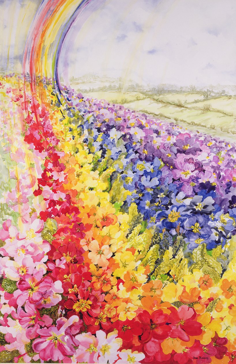 Primrose Rainbow tekijältä Joan Thewsey