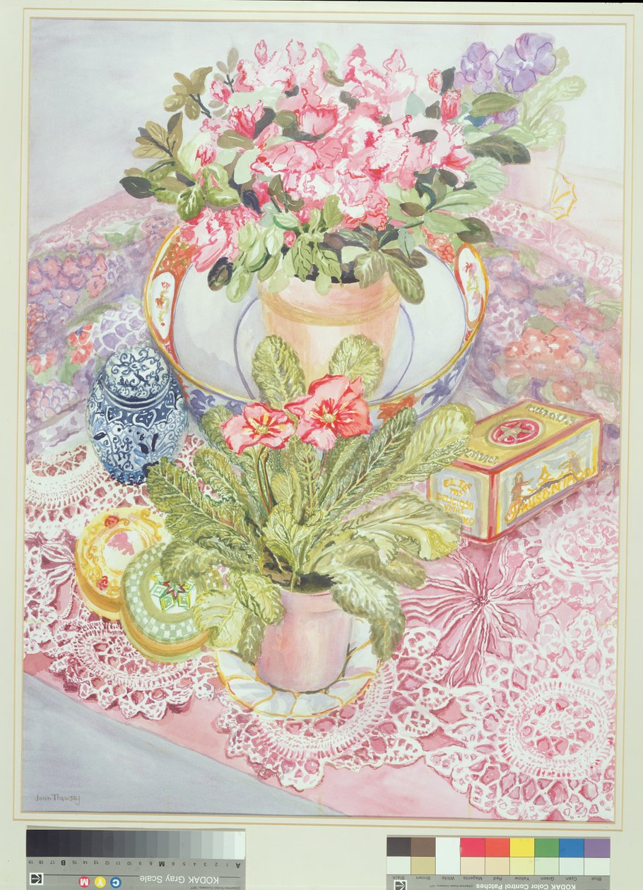 Primrose ja Azalea tekijältä Joan Thewsey