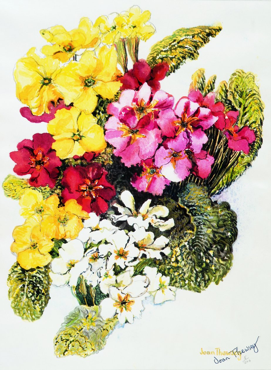 Primroses, Puti, Dilaw, Rosas at Pula, 2000, finn tekijältä Joan Thewsey