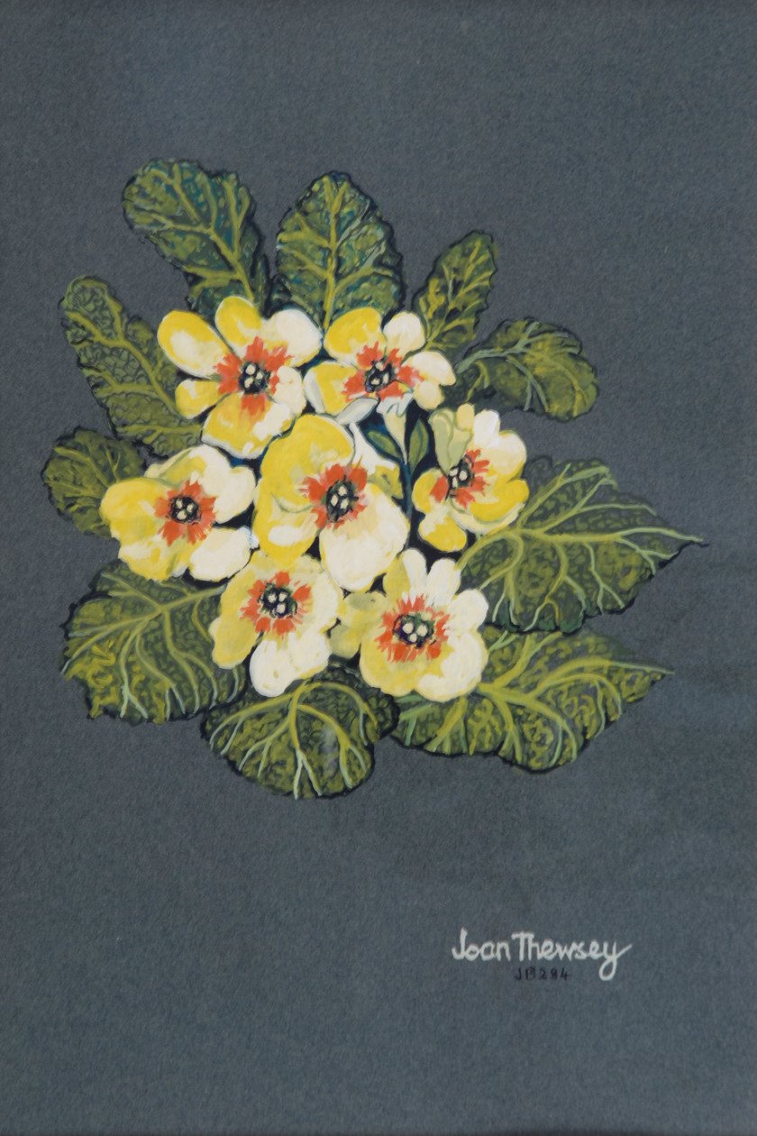 Keltainen esikko 2012 (guassi ingres-paperilla) tekijältä Joan Thewsey