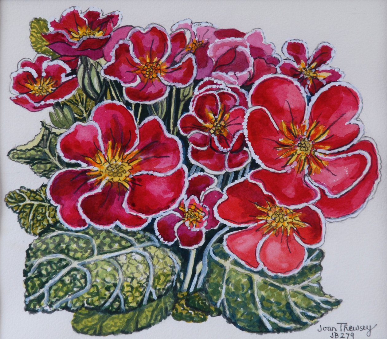 White Edged Primroses 2012 tekijältä Joan Thewsey