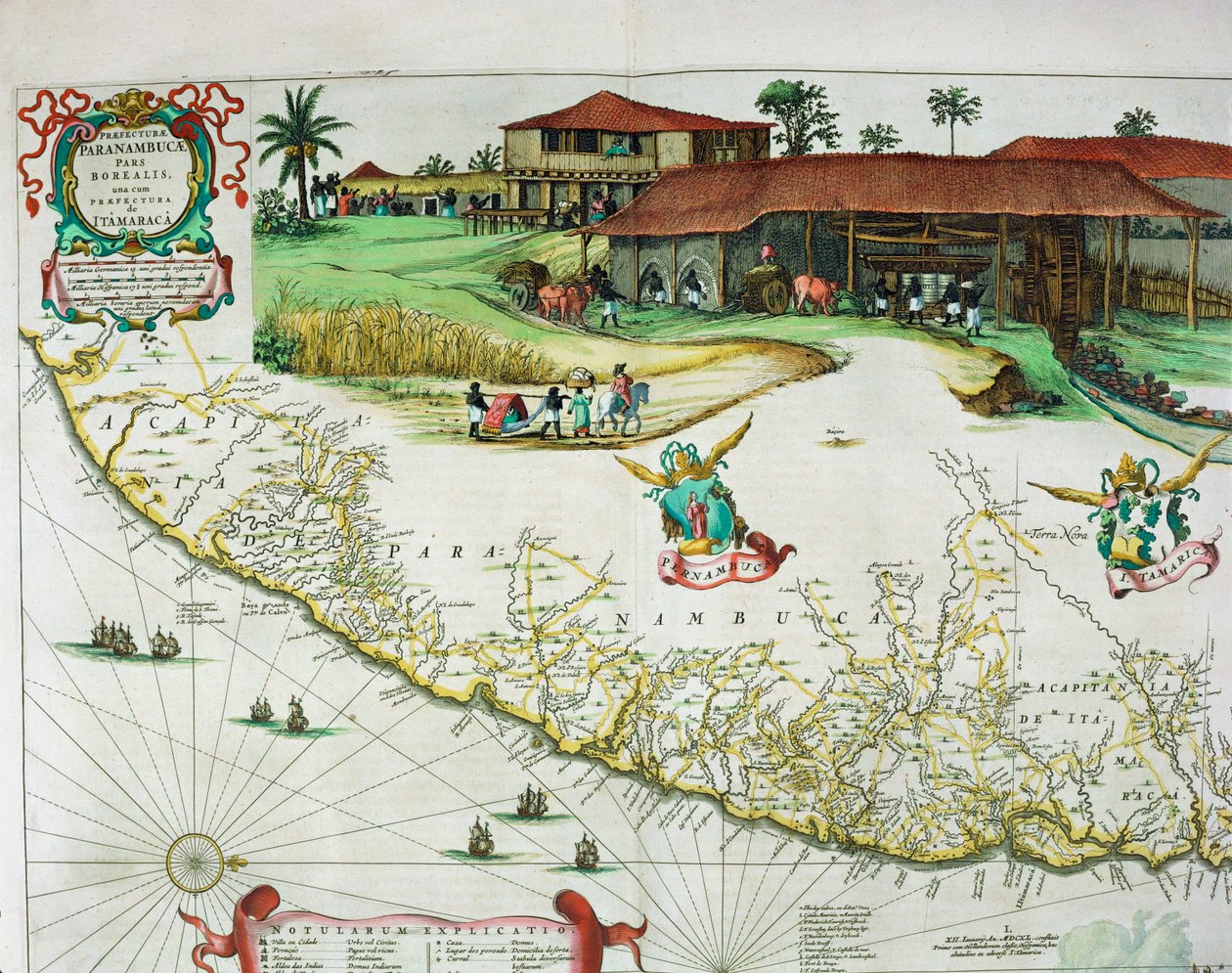 Joan Blaeun Atlas Major tekijältä Joan Blaeu