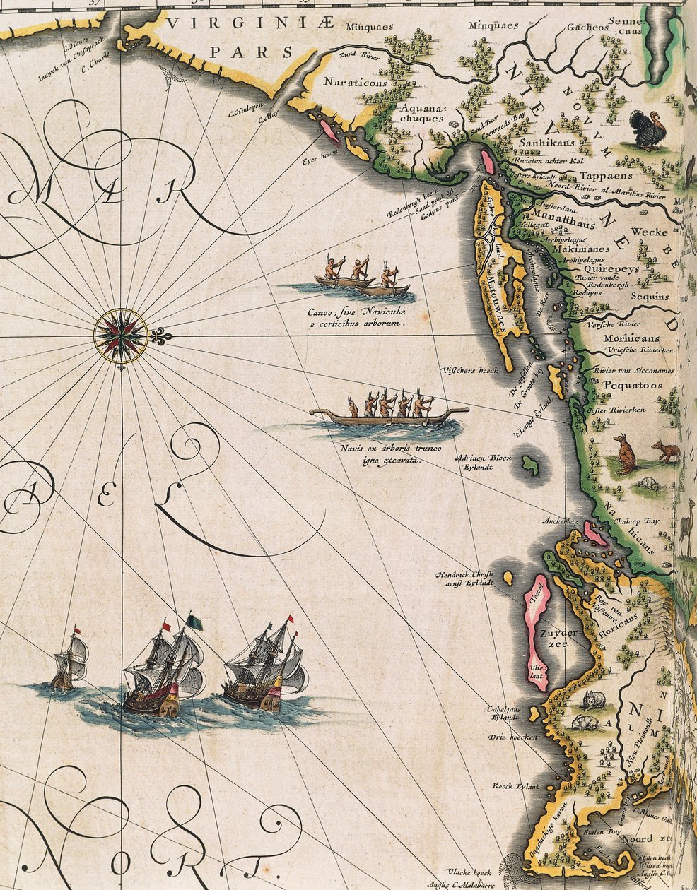 Virginian rannikon kartta, Theatrum Orbis Terrarum, kirjoittanut Joan Blaeu tekijältä Joan Blaeu