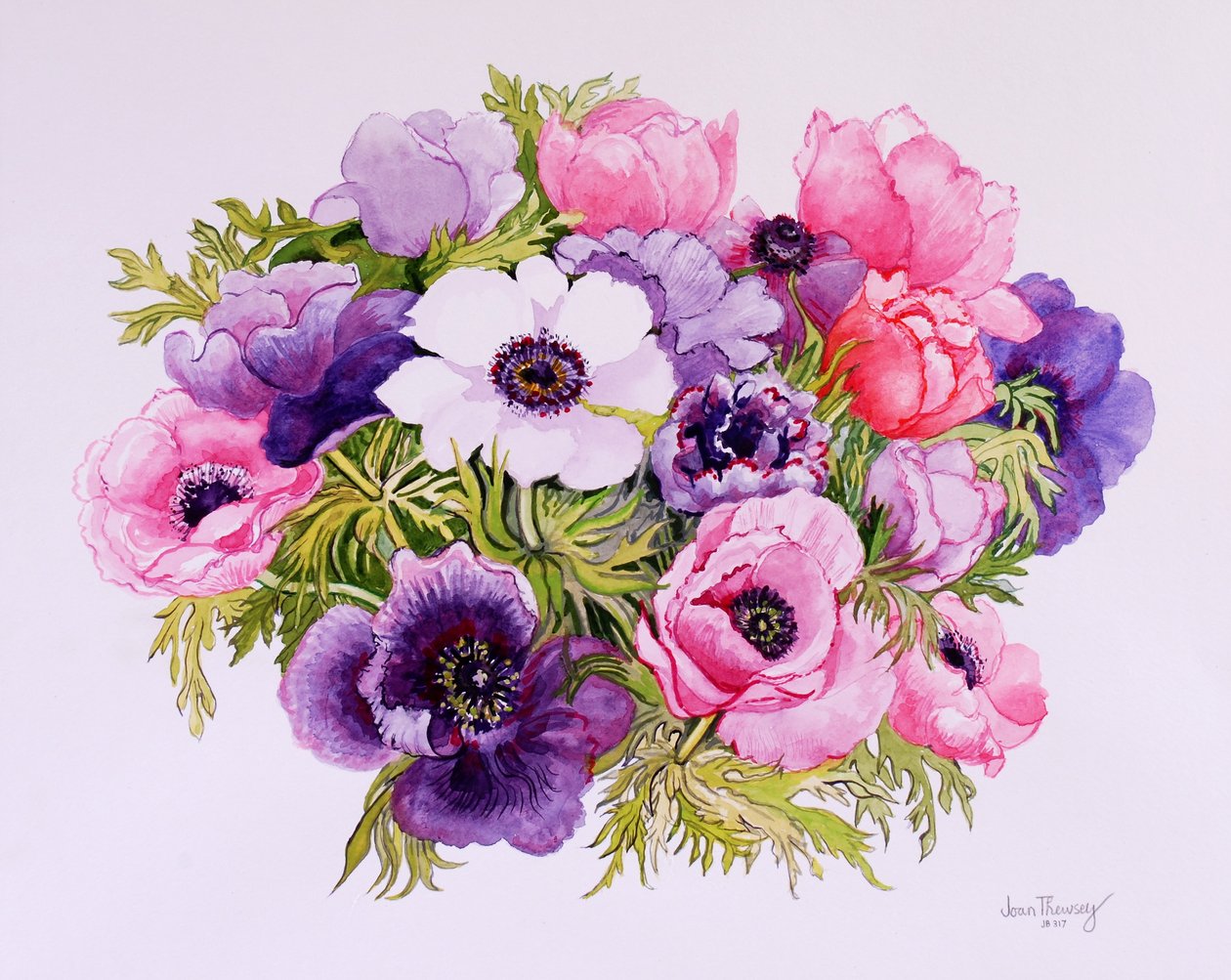 Anemones, 2001, vesiväri käsintehdylle paperille tekijältä Joan Thewsey