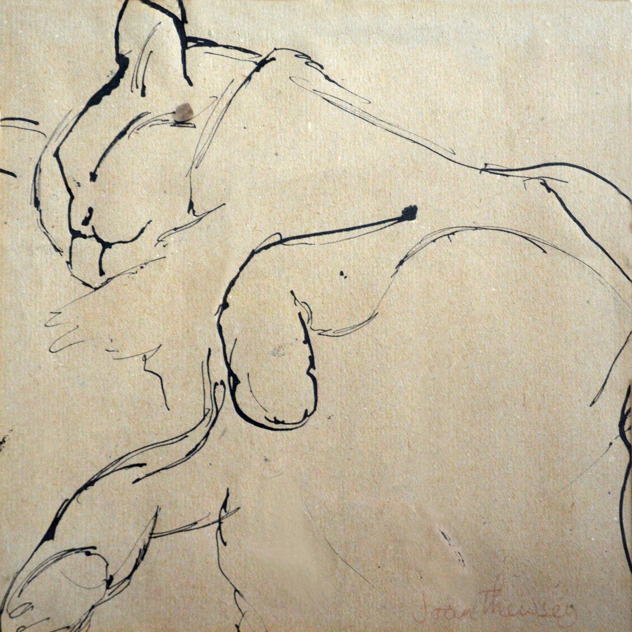 Kissa, Mouser, 1980,(tussi ja tussi) tekijältä Joan Thewsey