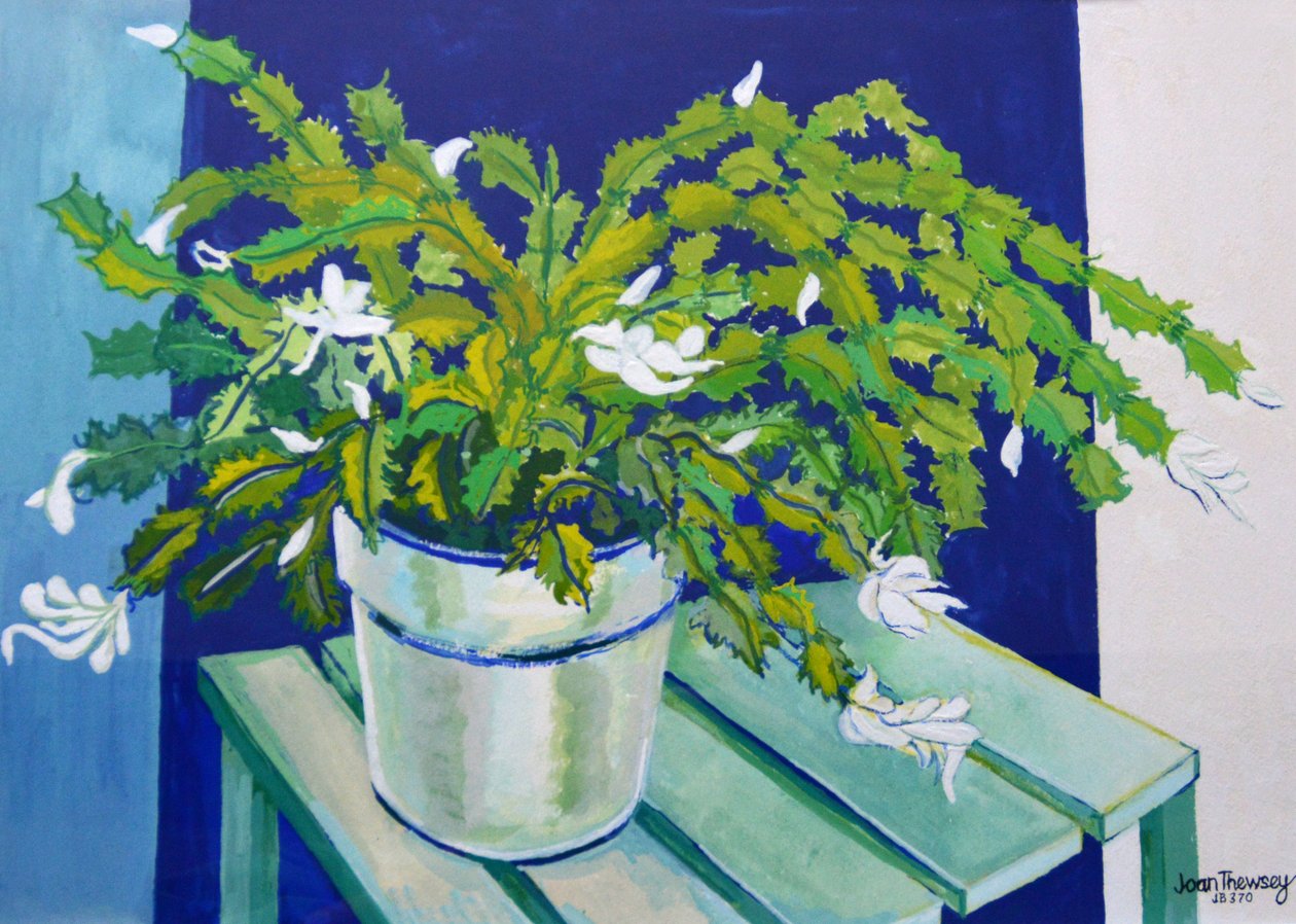 Joulukaktus,2000 (guassi) tekijältä Joan Thewsey