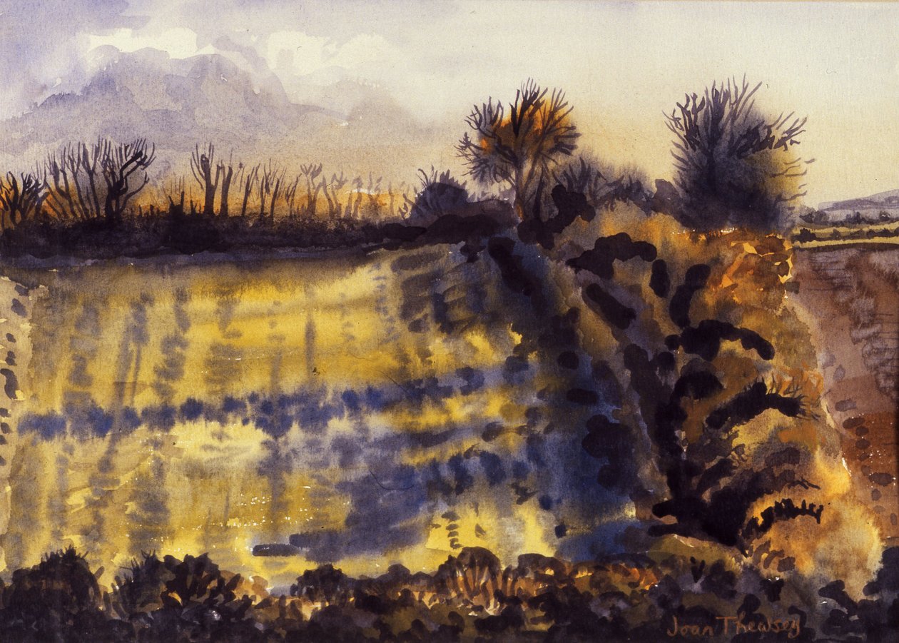 Field with Long Shadows, 1990, vesiväri käsintehdylle paperille tekijältä Joan Thewsey